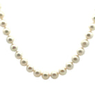 Pearl Strand Necklace - Kelly Wade Jewelers